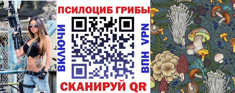 Купить закладки  Юрга  Галлюциногенные грибы Psilocybine cubensis 